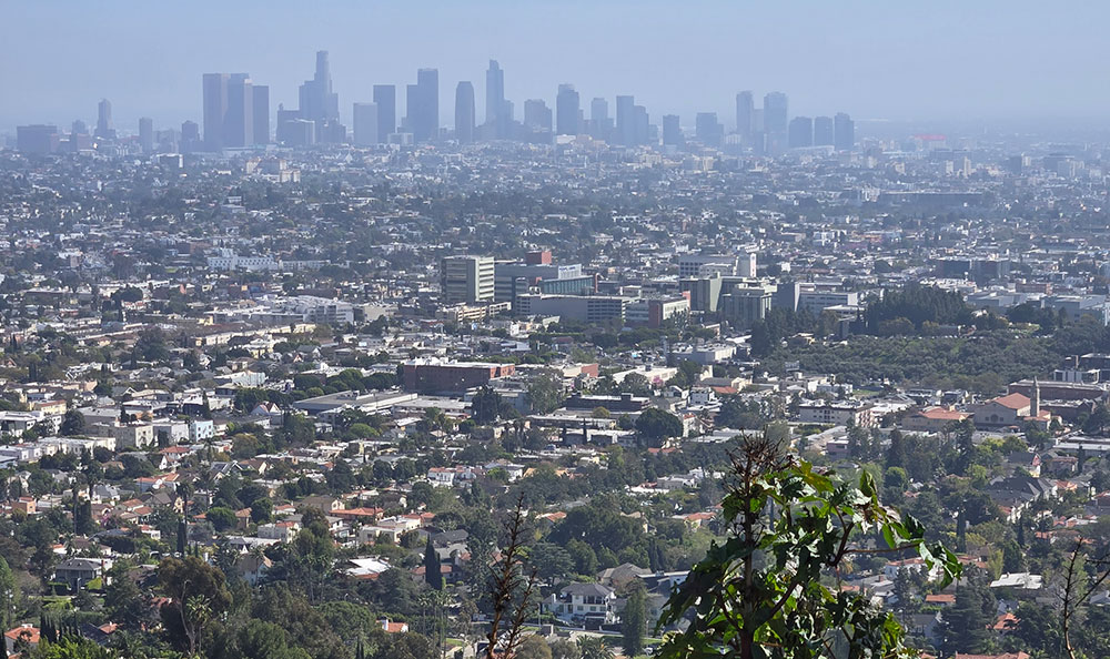 Hiking in LA